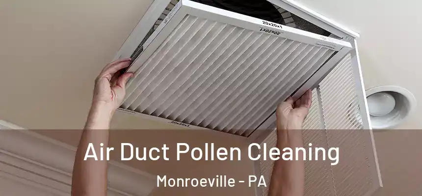  Air Duct Pollen Cleaning Monroeville - PA