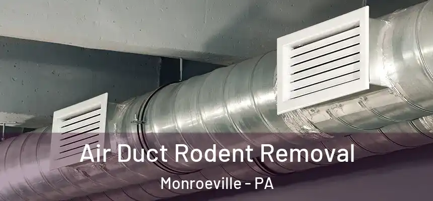  Air Duct Rodent Removal Monroeville - PA