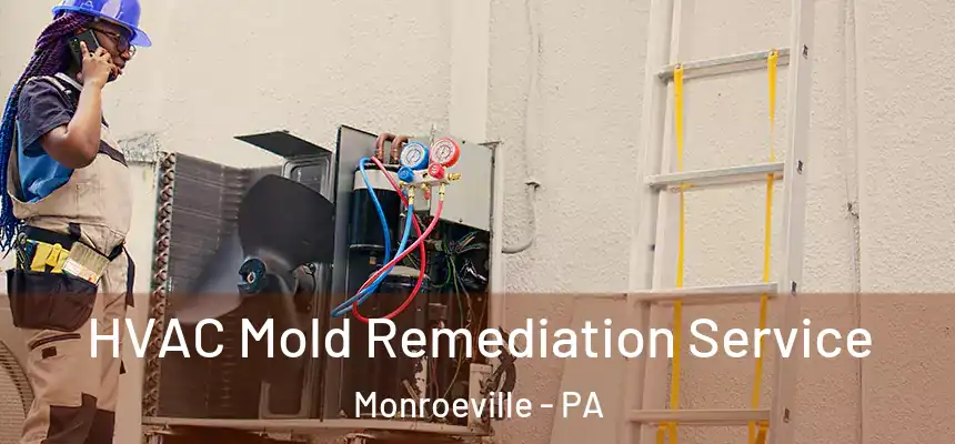  HVAC Mold Remediation Service Monroeville - PA