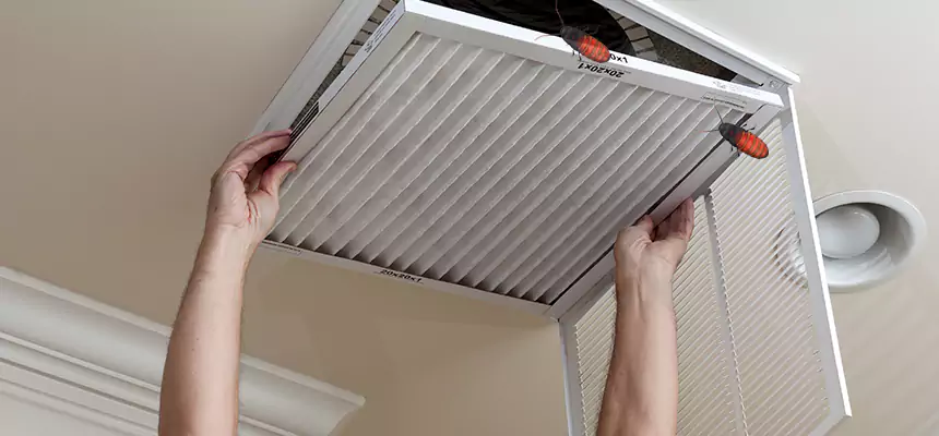 Preventive Cockroach-Proofing for Ducts in Monroeville