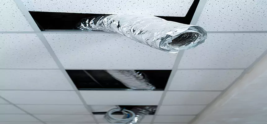 Affordable HVAC Sanitizing After Pest Removal in Monroeville