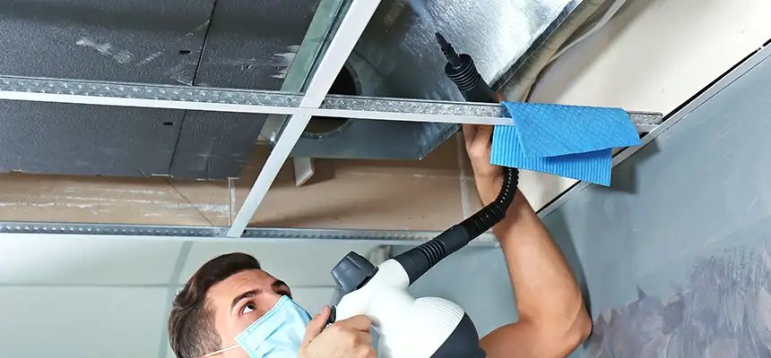 Our Air Duct Rodent Removal Services in Monroeville, PA