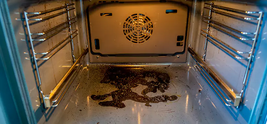 Our Dryer Vent Mold Cleaning Services in Monroeville, PA