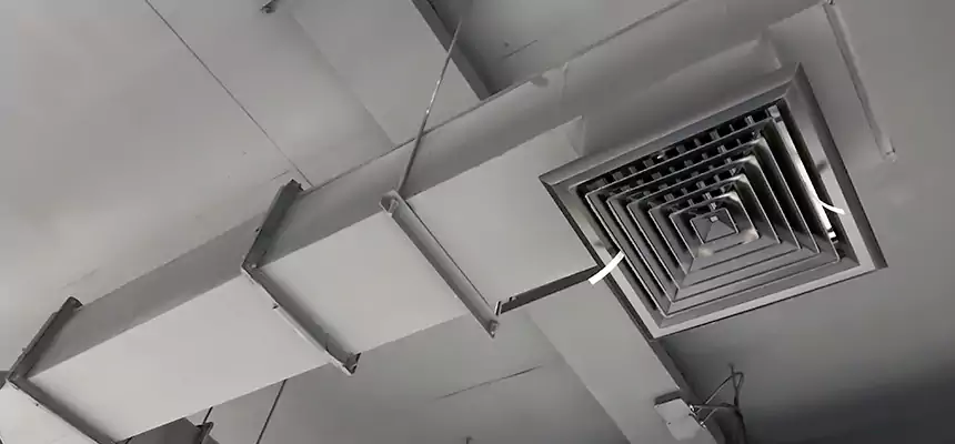 Our Rodent Droppings In Vents Services in Monroeville, PA