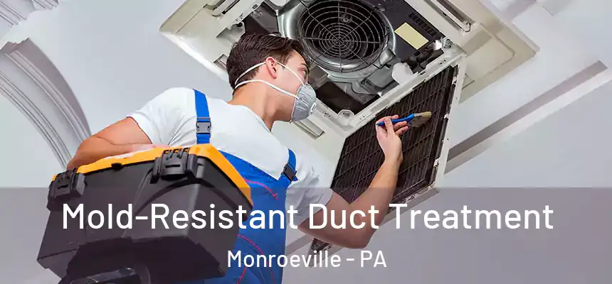  Mold-Resistant Duct Treatment Monroeville - PA
