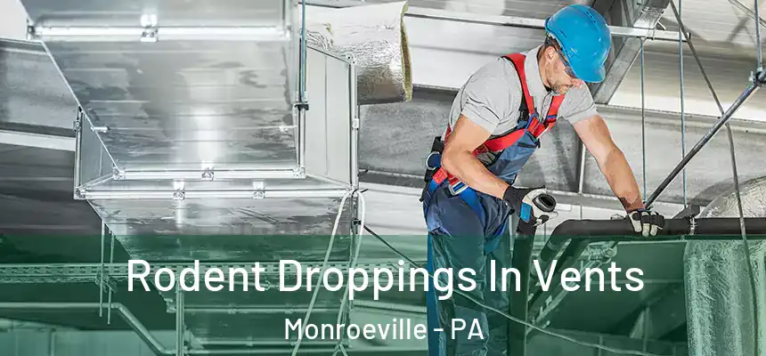  Rodent Droppings In Vents Monroeville - PA