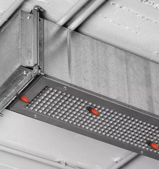 About Air Duct Cockroach Removal in Monroeville, PA