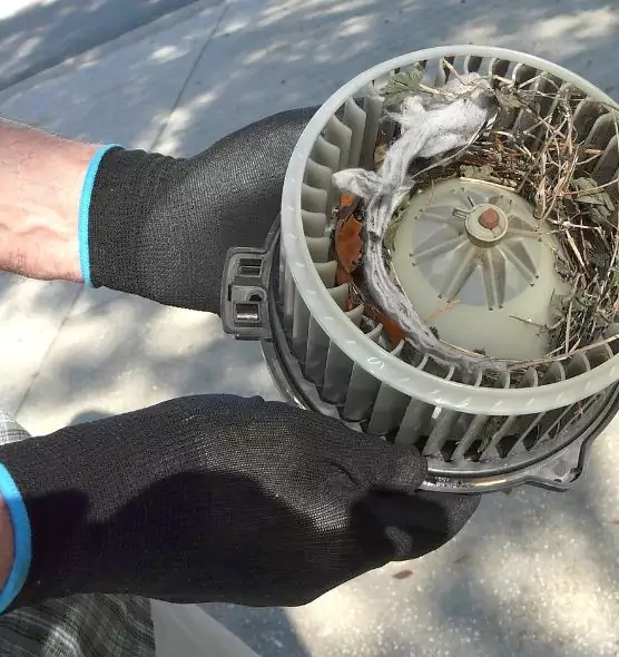 About Air Duct Rat Removal in Monroeville, PA