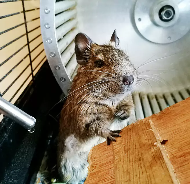 Why Homeowners & Businesses Trust Us Monroeville, PA?